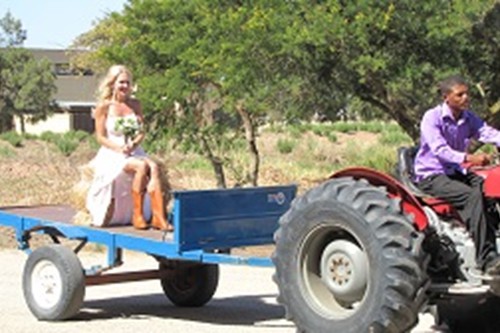 Weddings (3)