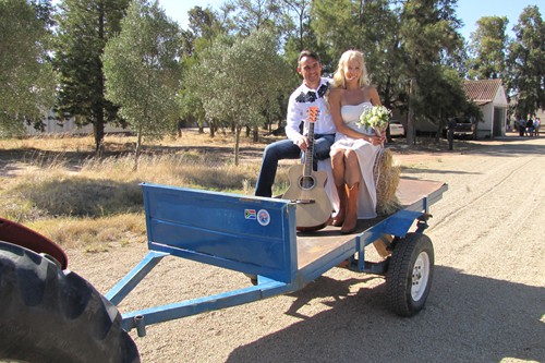 Weddings (5)