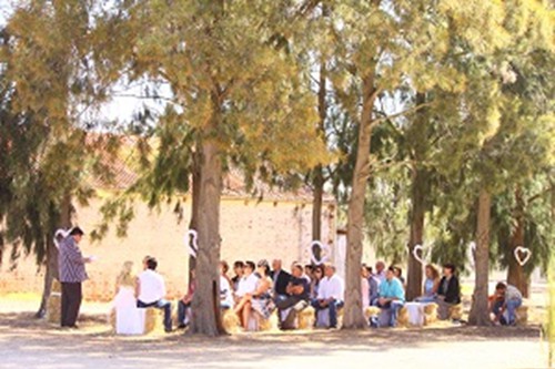 Weddings (7)
